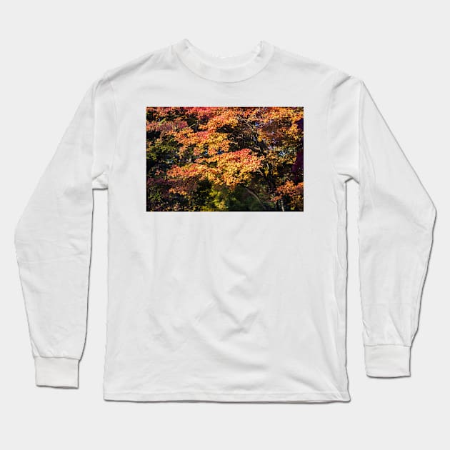 Maples in Glorious Autumn Colour Long Sleeve T-Shirt by GrahamPrentice